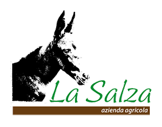 La Salza logo